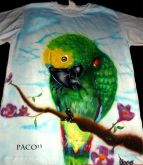 Papagaio